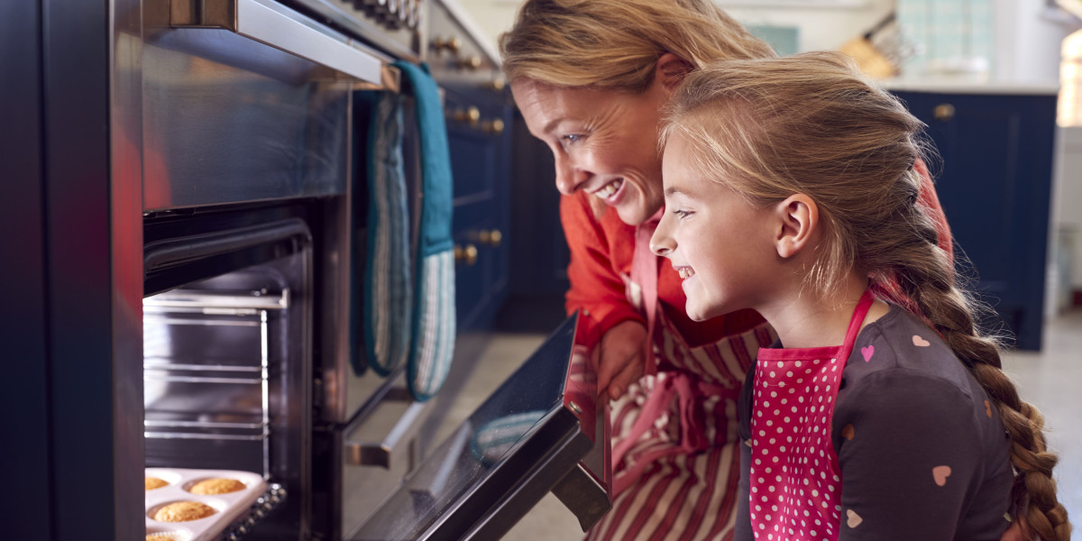 Ten Built In Electric Ovens That Really Help You Live Better