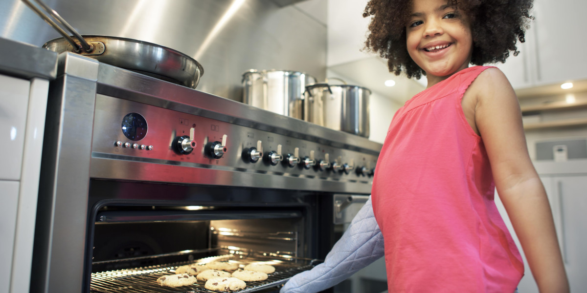 The Reason Why Bulit-In Ovens Is Everyone's Obsession In 2024